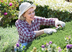 Hot Weather Safety Tips for Older Adults